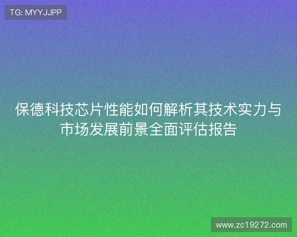 保德科技芯片性能如何解析其技术实力与市场发展前景全面评估报告